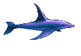 Melancholic Dolphin