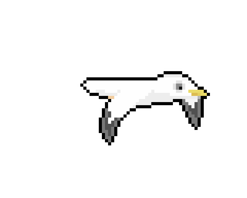 Seagull flying